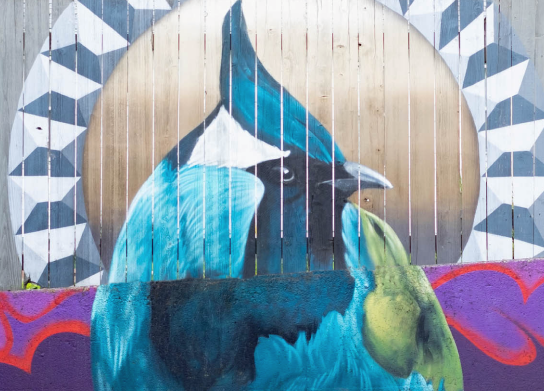 Mural of a blue jay on a fence, with geometric designs around it.